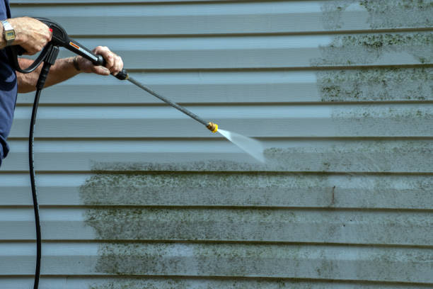 Best Driveway Pressure Washing  in Ckam Housing, HI